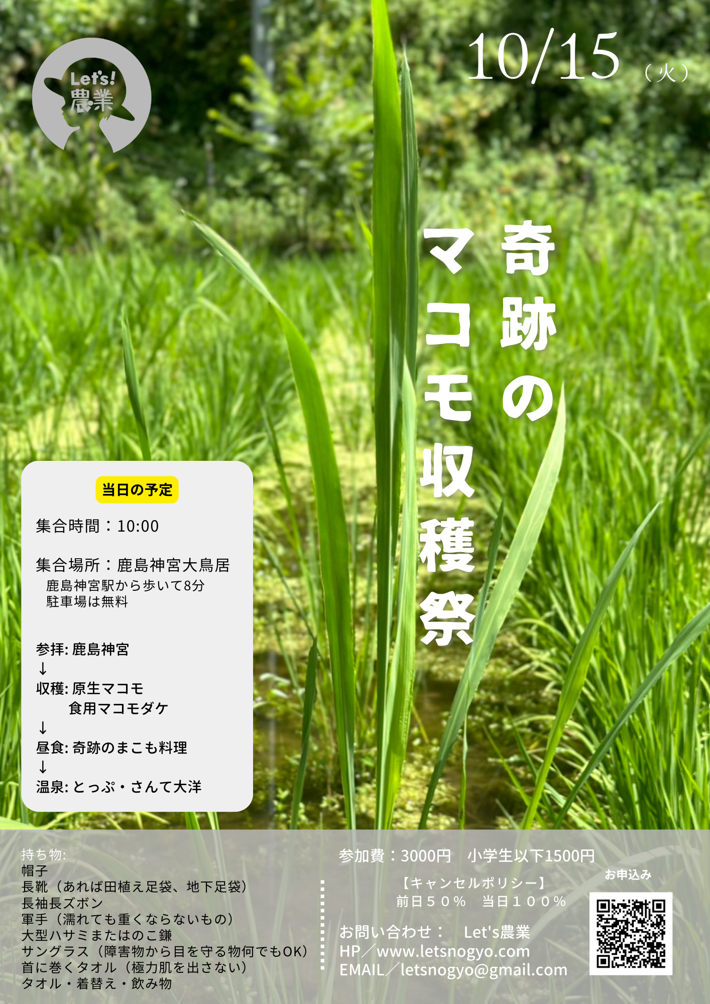 2024 農業体験 【10/15 茨城 まこも収穫祭】